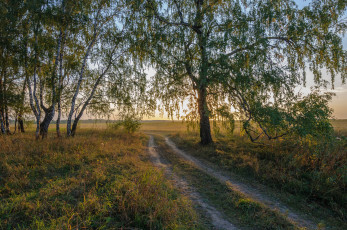 Картинка природа дороги простор