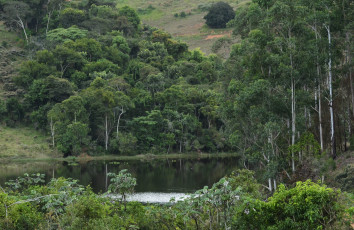 Картинка природа реки озера простор