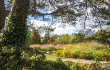 Картинка природа пейзажи простор