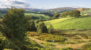 Картинка природа пейзажи простор