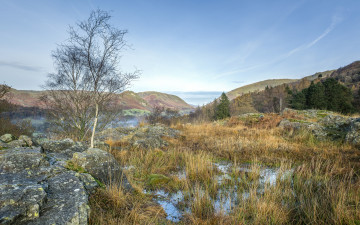 Картинка природа пейзажи простор