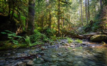 Картинка природа реки озера простор