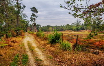 Картинка природа дороги простор