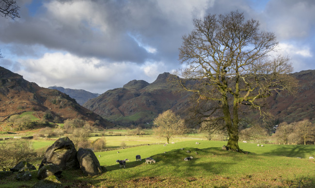 Обои картинки фото природа, пейзажи, простор