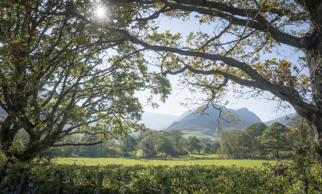 Обои картинки фото природа, пейзажи, простор