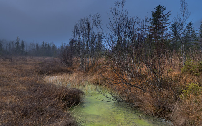 Обои картинки фото природа, реки, озера, осень, река