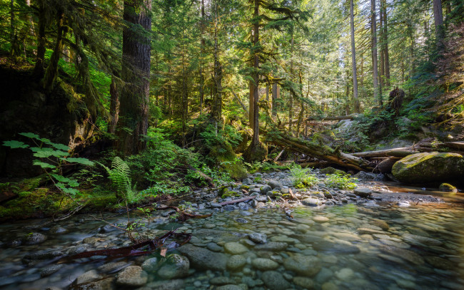 Обои картинки фото природа, реки, озера, простор