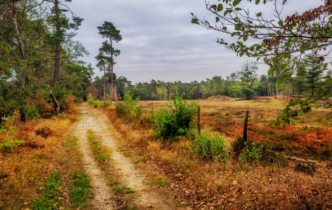 Обои картинки фото природа, дороги, простор