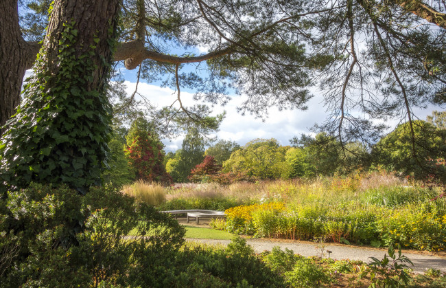 Обои картинки фото природа, пейзажи, простор