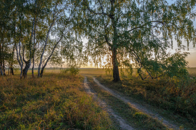 Обои картинки фото природа, дороги, простор