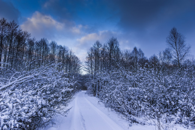 Обои картинки фото природа, зима, простор