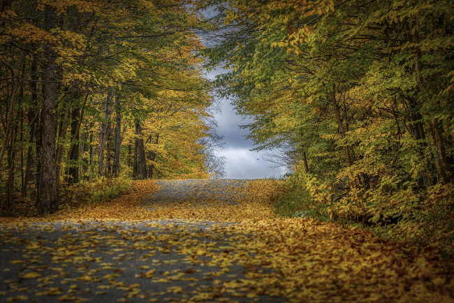 Обои картинки фото природа, дороги, простор