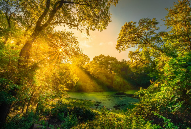 Обои картинки фото природа, восходы, закаты, простор