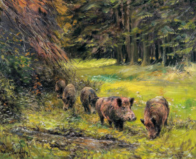 обоя рисованное, wilhelm lorenz, лес, поляна, кабаны, стадо