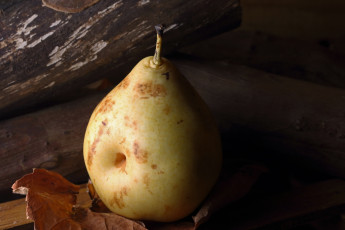 обоя еда, груши, засохший, лист, груша, фрукт, макро