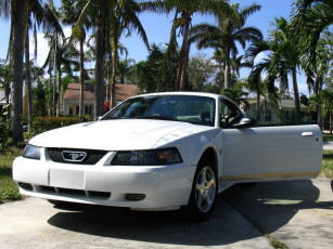 Картинка автомобили ford