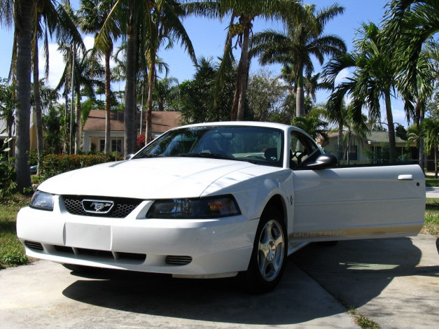 Обои картинки фото автомобили, ford