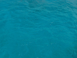 Картинка природа