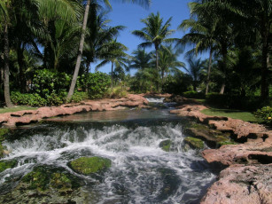 Картинка природа