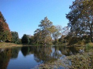 Картинка природа