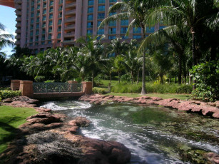 Картинка природа