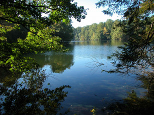 Картинка природа