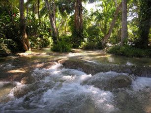 Картинка природа