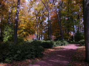 Картинка природа