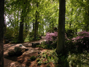 Картинка природа