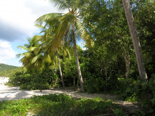 Картинка природа