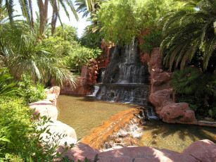 Картинка природа