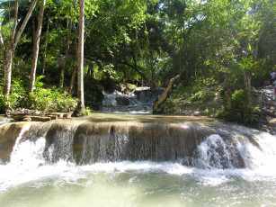 Картинка природа