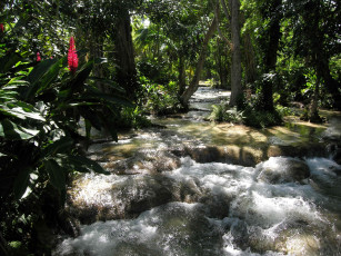 Картинка природа