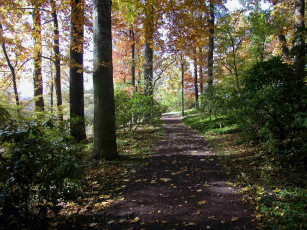 Картинка природа