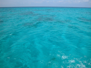 Картинка природа