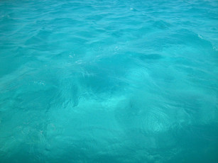 Картинка природа