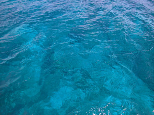 Картинка природа