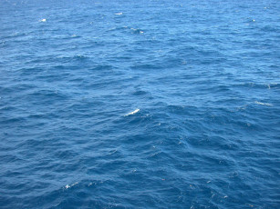 Картинка природа