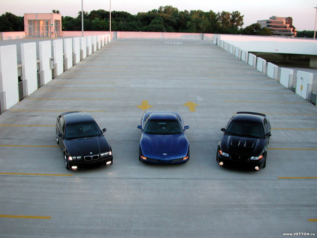 Обои картинки фото автомобили, разные, вместе