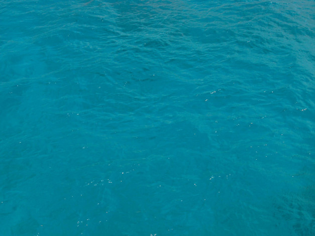 Обои картинки фото природа