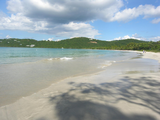 Обои картинки фото природа