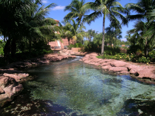 Обои картинки фото природа