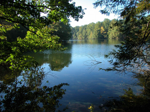 Обои картинки фото природа