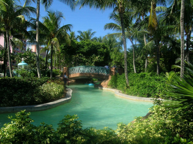 Обои картинки фото природа