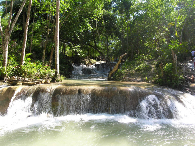 Обои картинки фото природа