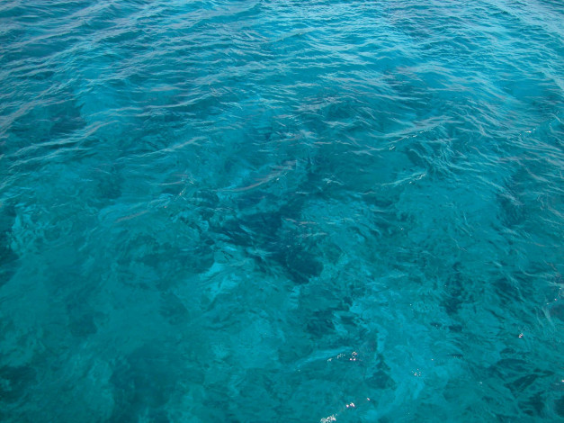 Обои картинки фото природа