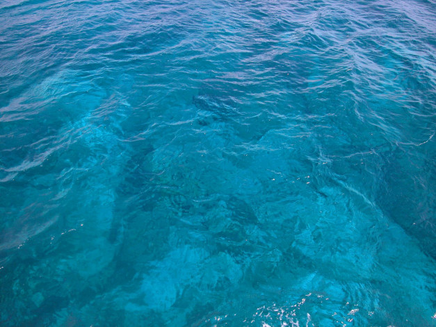 Обои картинки фото природа