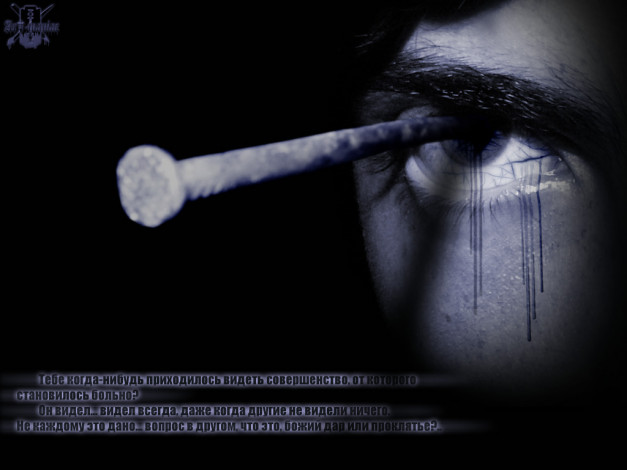 Обои картинки фото разное