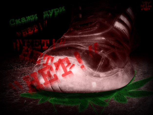 Обои картинки фото разное