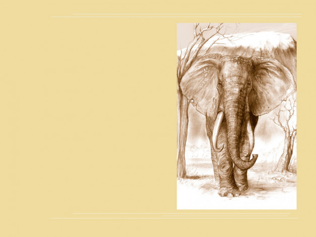 Обои картинки фото рисованные, минимализм